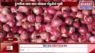 ગોંડલ માર્કેટિંગ યાર્ડ ડુંગળીની આવક શરૂ | Onion Arrival Begins at Gondal Marketing Yard
