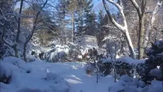 Winter Storm Jonas in Providence, Rhode Island - January 23, 2016