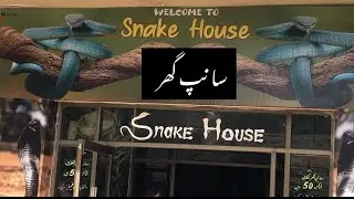 Lahore Zoo Snake House | Lahore Zoo | Punjab | Pakistan