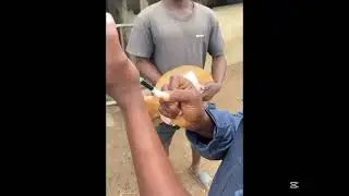 Administration proceeds of giving weaners pigs iron injections 
