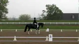 MIcki and Playful, Dressage at Paul Frazer