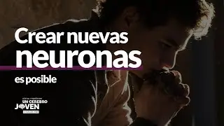 🧠👀¿Qué es la NEUROGÉNESIS y en qué nos BENEFICIA?🧠👀
