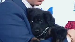 North Shore Animal League America celebrates Tour For Life