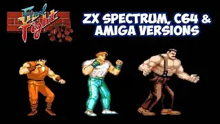 Final Fight: The Home Computer Versions