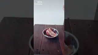 🍖Raw cat diet🥩 (Links in Description) #rawcatfood #rawcat #catdiet #short #catfood