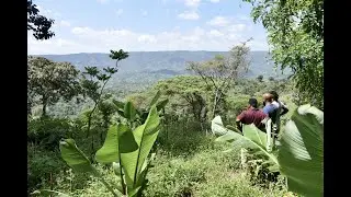 THE WORLD'S BEST COFFEE. COFFEE TOUR TO THE GUJI REGION, ETHIOPIA. TRAVEL TO ETHIOPIA.