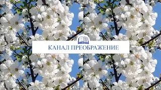 Служение 11.01.2025