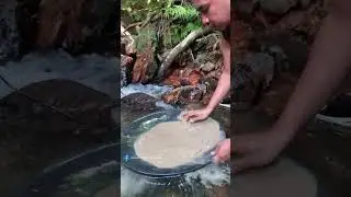 a very rosy golden liquid, and produced hundreds of extraordinary grains of gold