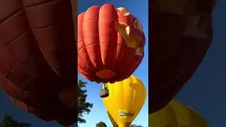 🎈 Rise and shine with Balloons Over Waikato!