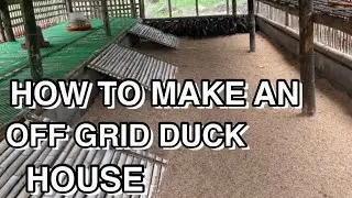 MODERN DUCK HOUSE// COST OF SIMI HANGER DUCK HOUSE// HOW TO BUILD A GOOD DUCK HOUSE AT YOUR FARM