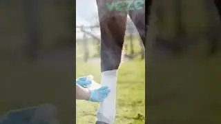 Best natural products for horse care @VezerCare #horse #horses #horselover #horseenthusiast