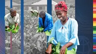 COP26: Scaling Investment in Climate-Smart Agriculture Technologies in Africa