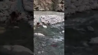 #shorts #shortvideo #umairaliofficial #narankaghan2022 #naran #swaat #beautifulplacespakistan