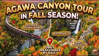 Agawa Canyon Tour Train | Fall 2025 #autumn #autumncolors #fallseason #agawacanyontourtrain 