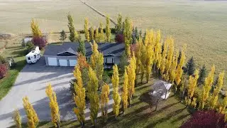 বিশ্বের সেরা শহর ক&zwj;্যালগেরি। Calgary, Best City in the world.All Season