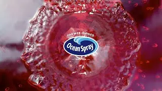 Ocean Spray&reg; Cranberry Juice Blends