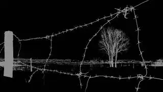Aarsland - Golod (2021 Sacred Noise) Dark Ambient Black Metal / Drone