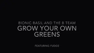 Basil & The B Team ~ Gardening with Cats ~ Grow Your Own Greens