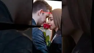 #romantic #rose #shortvideo #youtubeshorts #reels #love