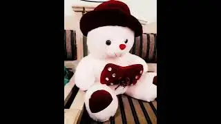 Cute Teddy bear Whatsapp status video ❤️