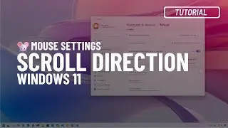 Windows 11: Change mouse (or touchpad) scroll direction
