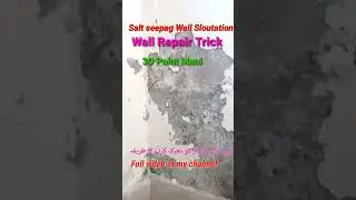 SEEPAGE /DAMPNESS /Salty Wall solution