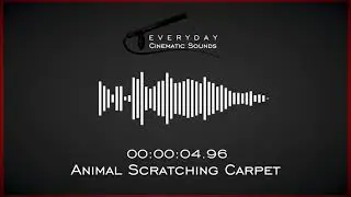 Animal Scratching Carpet | HQ Sound Effect