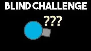 HARDEST Diep.io Challenge BEATEN - Blind/Invisible Challenge