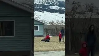 Family Claims Roadkill Elk