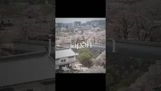 JAPAN IN TAISHO ERA ✨💫 #shortfeeds #demonslayer #kny #taisho #beauty #fypviral