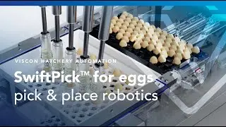 Viscon SwiftPick&trade; technology - robotic egg handling