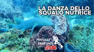 La danza dello Squalo Nutrice