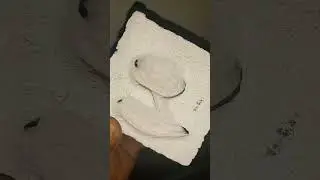 DIY Ant Formicarium made from aircrete 2