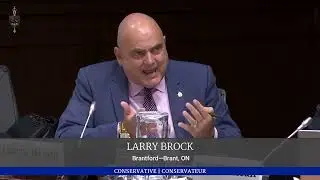 MP Brock Speaking Truth To Power & Scaring The Room: ArriveCAN Committee