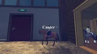 Updated Trakehner Gaits | SSO
