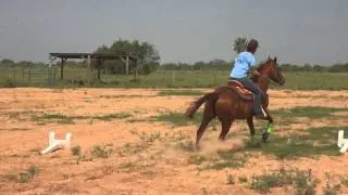 Barrel Racing Fail: This Will Make You Laugh!!!