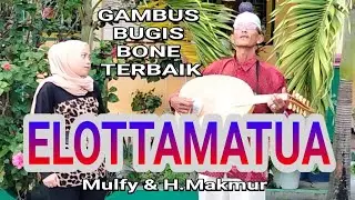 VIRAL KAN INI GAMBUS BUGIS BONE (ELOTTAMATUA)