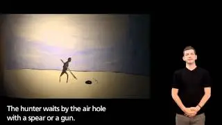 Arctic Animation