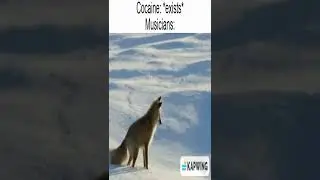 Best Reddit Memes Everyday! August 15th Edition