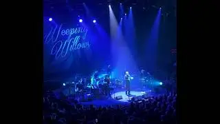 ”Blue and Alone”, Weeping Willows, Cirkus, 11/12/2025