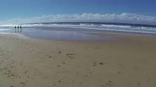 Currimindi Beach, Currimundi (QLD) - dogexplorer.com.au
