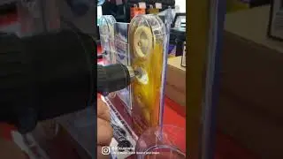 Lucas Oil Retail Display - Drill Powered!