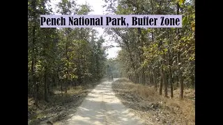 Pench National Park, Buffer Zone
