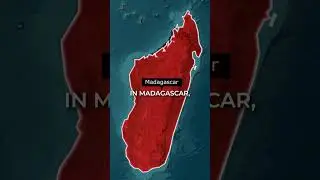 Не моргай! Этот хвастун!