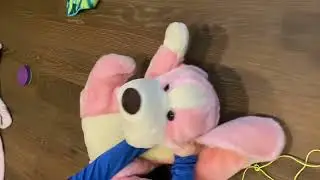 Staryboy the dog 🐶