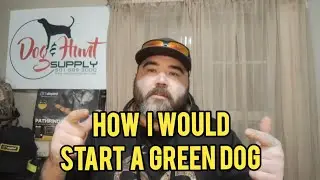 How to Start A Green Hound