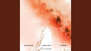 JUST BLAZE (feat. PLUMSEED) (Allytosis Remix)