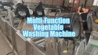 🌿 Multi-Function Vegetable Washing Machine | Washing &bull; Dewatering &bull; Air Drying &bull; Conveying