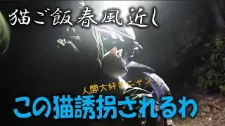 なれなれしい中猫現る