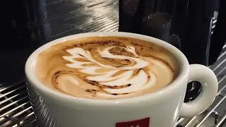 Swan routine